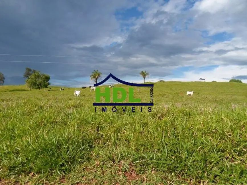 Foto 21 de Fazenda / Haras à venda em Piracanjuba - GO