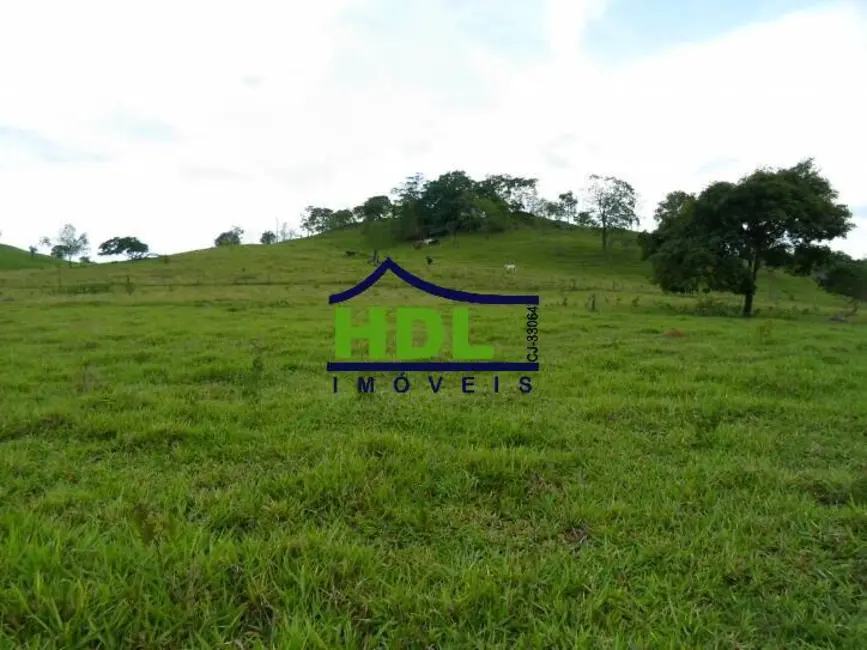 Foto 19 de Fazenda / Haras à venda em Piracanjuba - GO