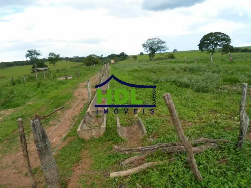 Foto 14 de Fazenda / Haras à venda em Piracanjuba - GO