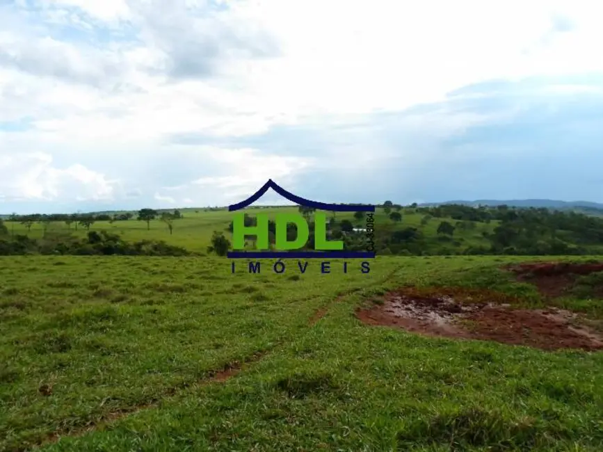 Foto 30 de Fazenda / Haras à venda em Piracanjuba - GO