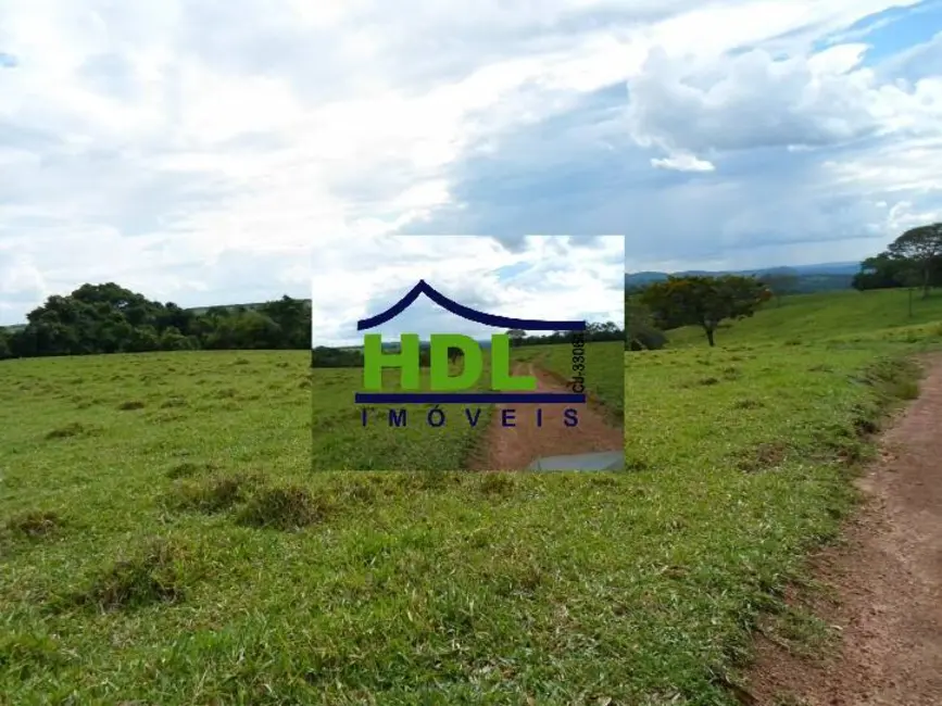 Foto 5 de Fazenda / Haras à venda em Piracanjuba - GO