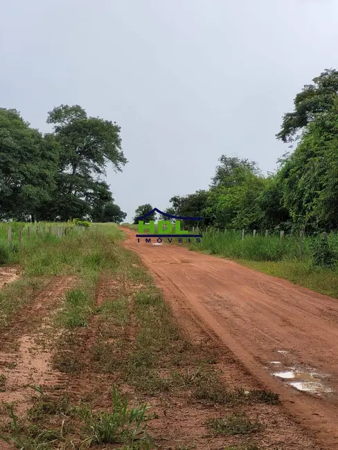 Fazenda / Haras à venda e para alugar em Araguaiana - MT - imagem 5 Foto 5 de Fazenda / Haras à venda e para alugar em Araguaiana - MT