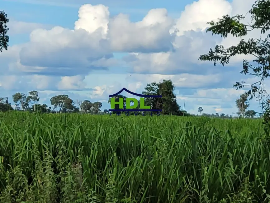 Fazenda / Haras à venda e para alugar em Araguaiana - MT - imagem 7 Foto 7 de Fazenda / Haras à venda e para alugar em Araguaiana - MT