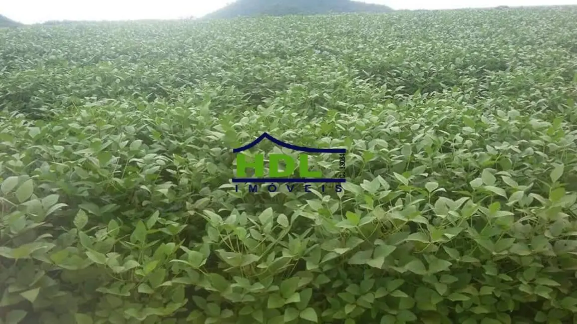 Foto 5 de Fazenda / Haras à venda e para alugar em Confresa - MT