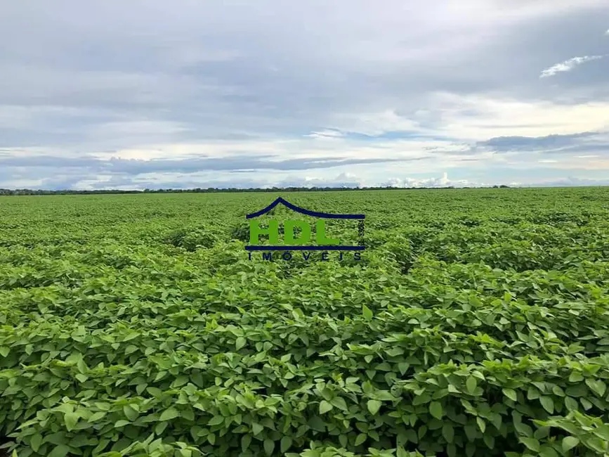 Foto 3 de Fazenda / Haras à venda e para alugar em Confresa - MT