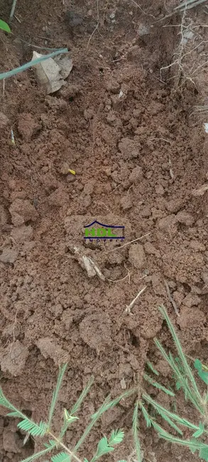 Foto 7 de Fazenda / Haras à venda, 240m2 em Peixe - TO