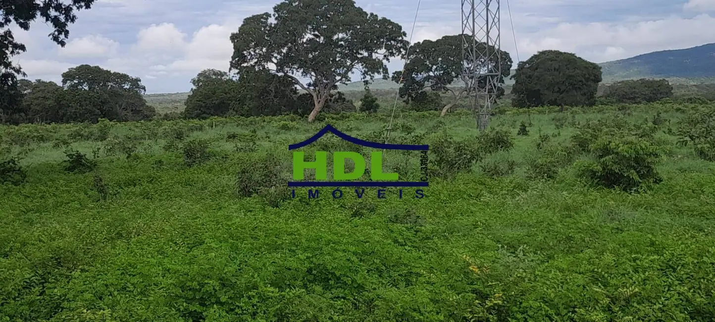 Foto 6 de Fazenda / Haras à venda, 240m2 em Peixe - TO