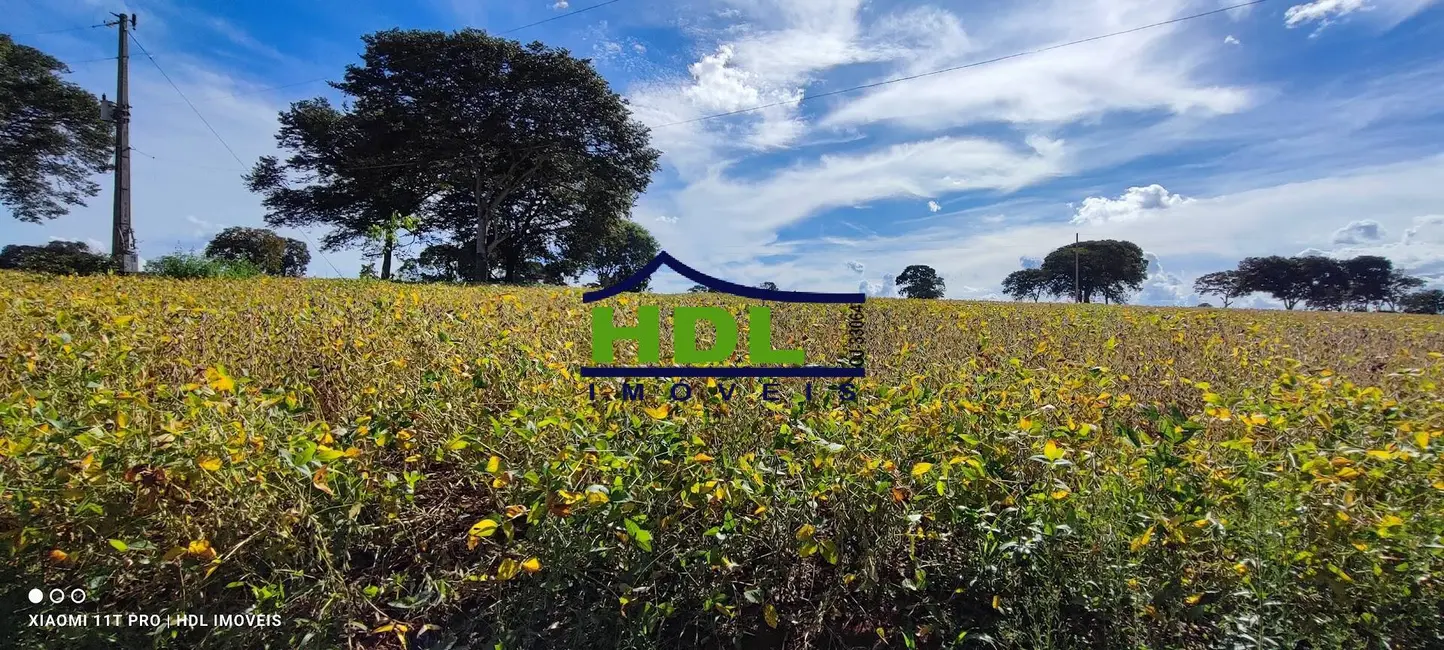 Foto 3 de Chácara à venda em Piracanjuba - GO