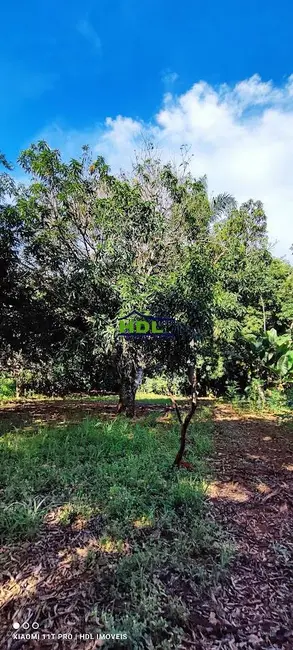 Foto 8 de Chácara à venda em Piracanjuba - GO