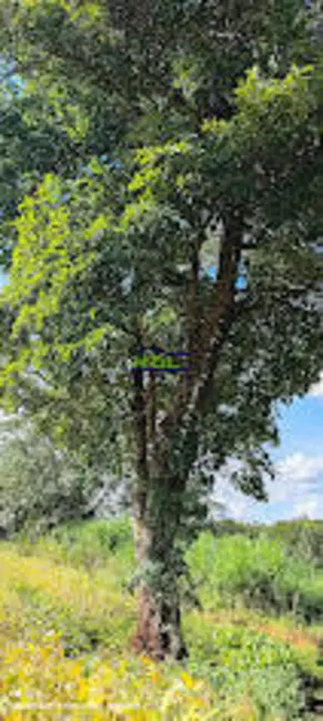 Foto 10 de Chácara à venda em Piracanjuba - GO