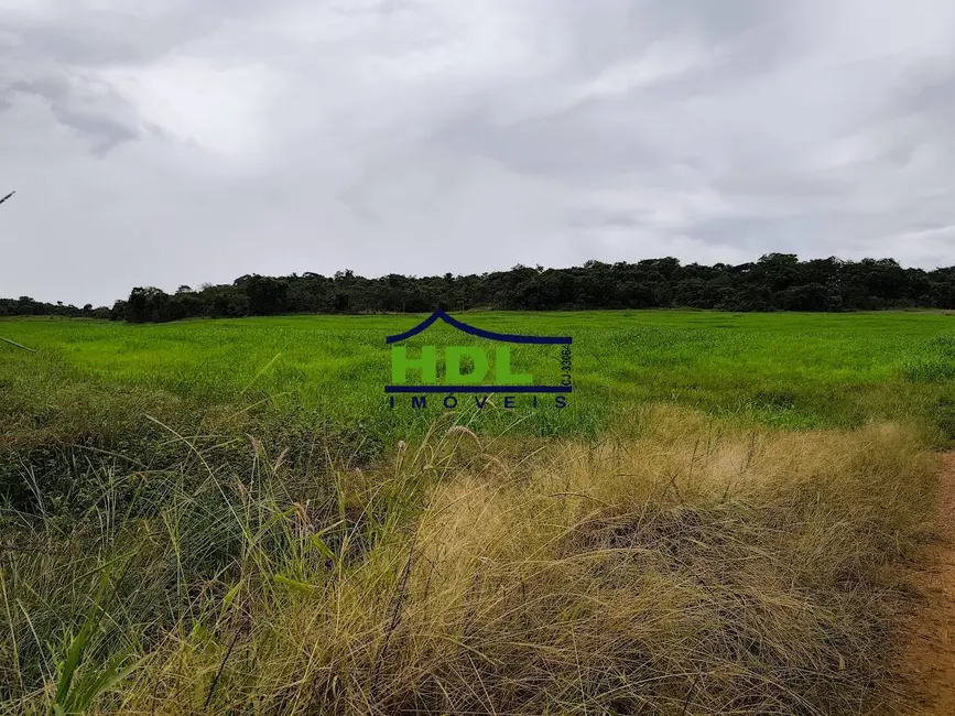 Foto 4 de Fazenda / Haras à venda, 15m2 em Crominia - GO