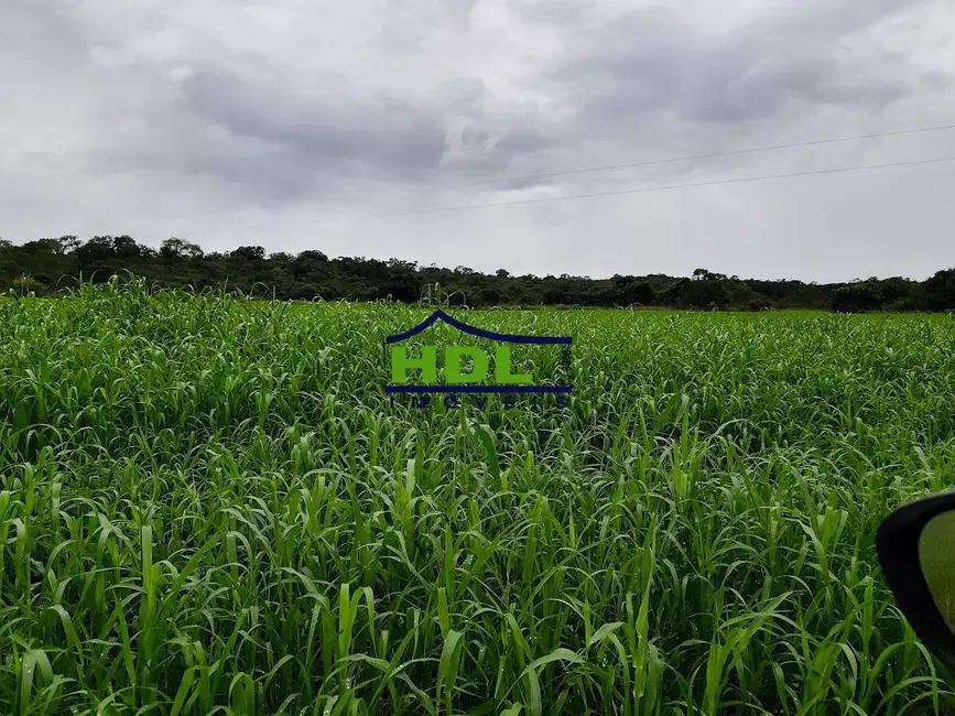 Foto 6 de Fazenda / Haras à venda, 15m2 em Crominia - GO