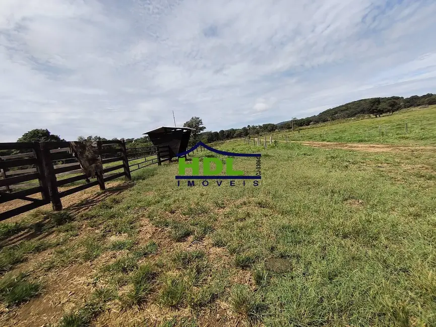 Foto 10 de Chácara à venda, 220000m2 em Pontalina - GO