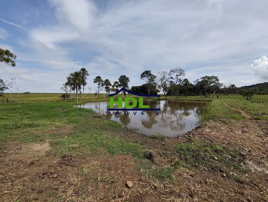 Foto 12 de Chácara à venda, 220000m2 em Pontalina - GO