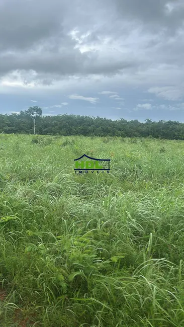 Fazenda / Haras com 3 quartos à venda, 150m2 em Natividade - TO - imagem 8 Foto 8 de Fazenda / Haras com 3 quartos à venda, 150m2 em Natividade - TO