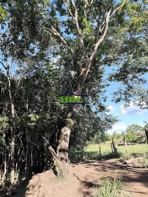Chácara com 3 quartos à venda em Sao Miguel Do Passa Quatro - GO - imagem 3 Foto 3 de Chácara com 3 quartos à venda em Sao Miguel Do Passa Quatro - GO