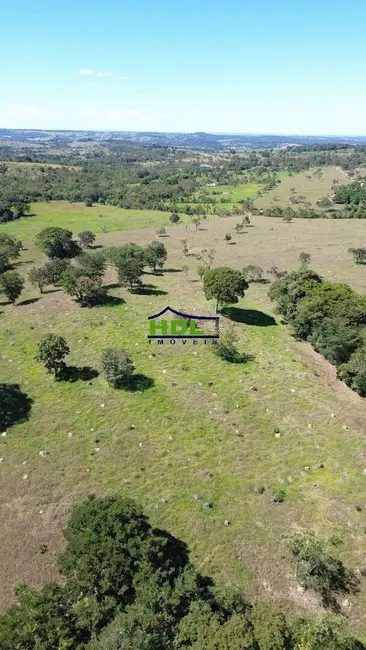 Foto 21 de Chácara à venda, 31m2 em Crominia - GO