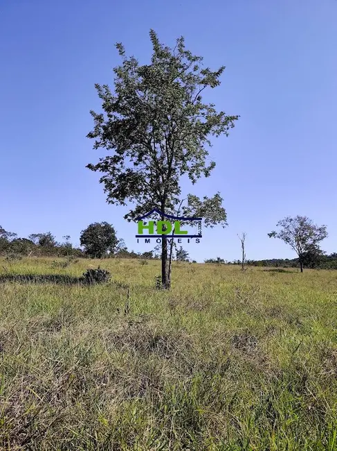 Foto 54 de Chácara à venda, 31m2 em Crominia - GO