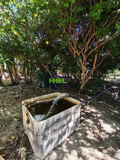 Foto 43 de Chácara à venda, 31m2 em Crominia - GO