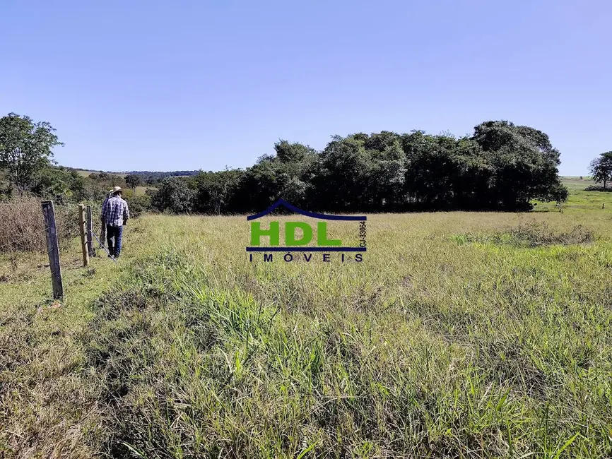 Foto 38 de Chácara à venda, 31m2 em Crominia - GO