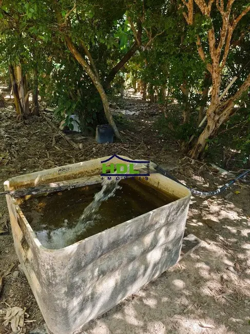 Foto 31 de Chácara à venda, 31m2 em Crominia - GO