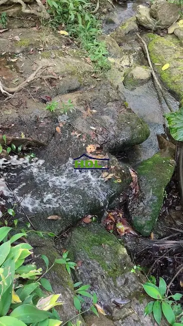 Foto 51 de Chácara à venda, 31m2 em Crominia - GO