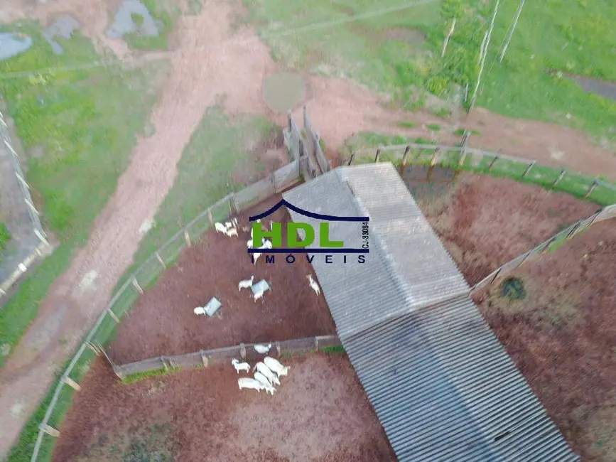 Foto 1 de Fazenda / Haras com 3 quartos à venda, 298m2 em Cocalinho - MT