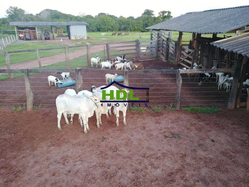 Foto 6 de Fazenda / Haras com 3 quartos à venda, 298m2 em Cocalinho - MT