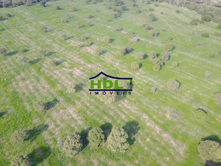 Foto 9 de Fazenda / Haras com 4 quartos à venda, 230m2 em Cocalinho - MT