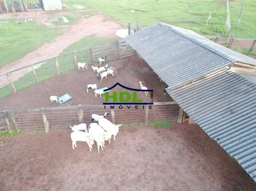 Foto 6 de Fazenda / Haras com 4 quartos à venda, 230m2 em Cocalinho - MT