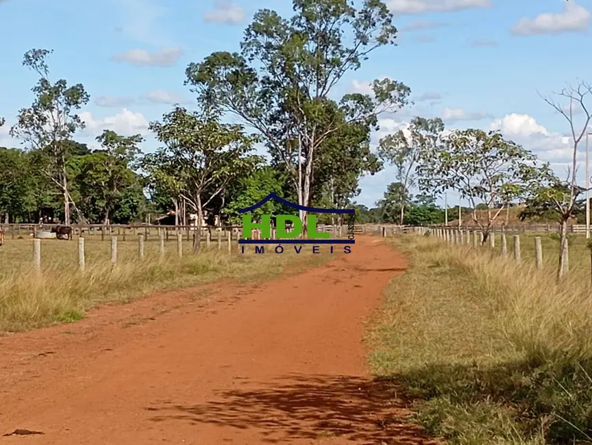 Foto 3 de Fazenda / Haras à venda e para alugar em Araguaiana - MT