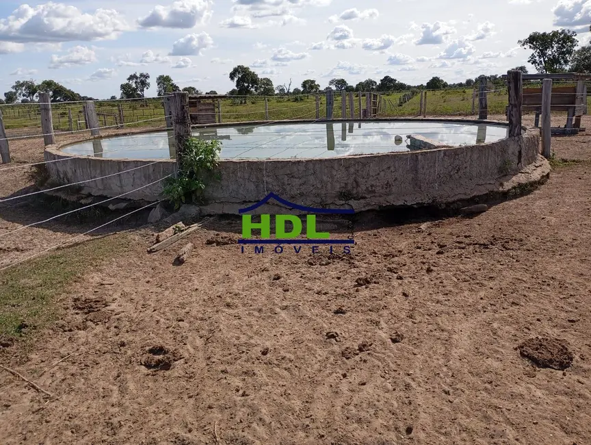 Foto 8 de Fazenda / Haras à venda e para alugar em Araguaiana - MT