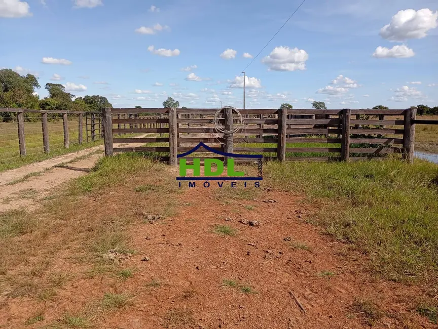 Foto 9 de Fazenda / Haras à venda e para alugar em Araguaiana - MT