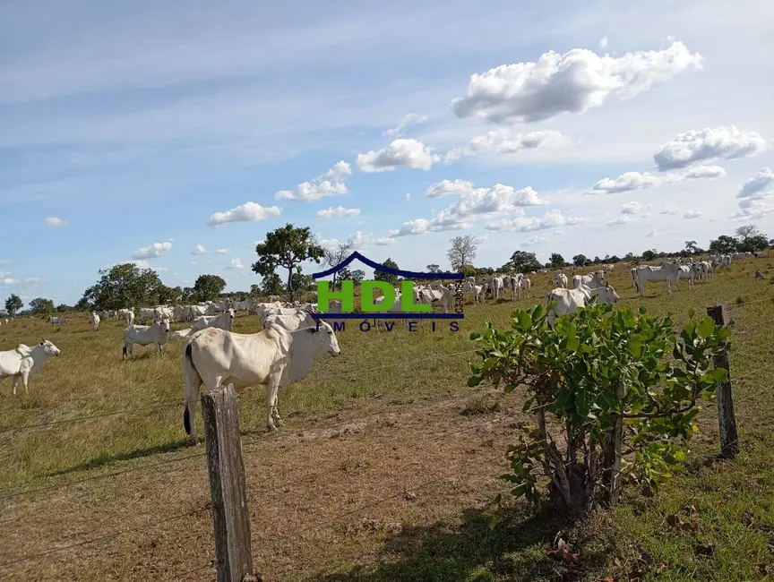 Foto 5 de Fazenda / Haras à venda e para alugar em Araguaiana - MT