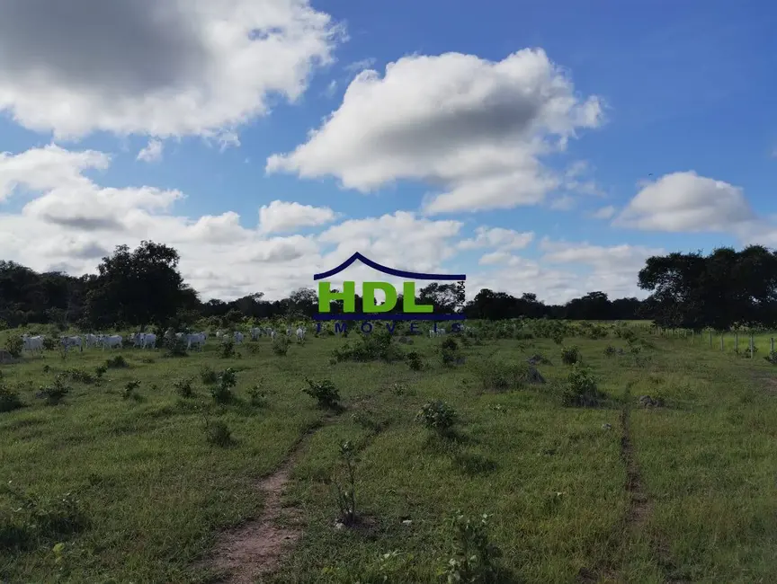 Foto 9 de Fazenda / Haras à venda e para alugar em Cocalinho - MT