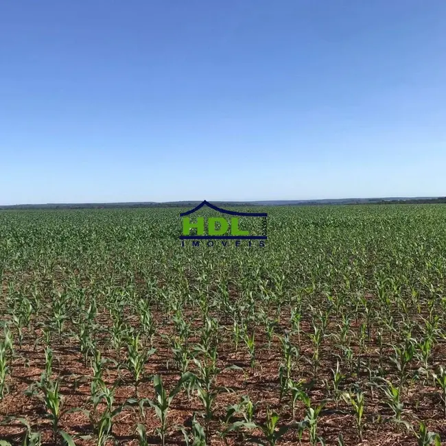 Foto 6 de Fazenda / Haras à venda, 3600m2 em Canarana - MT