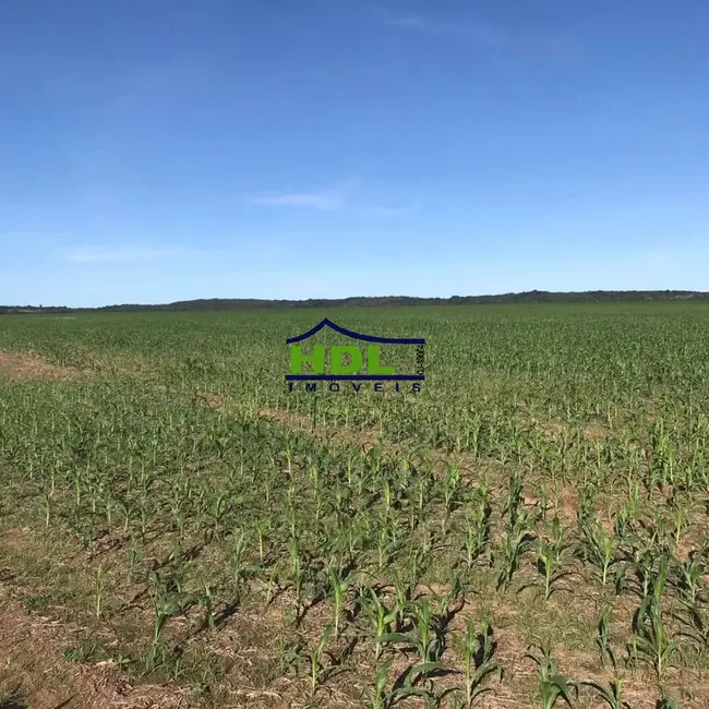 Foto 2 de Fazenda / Haras à venda, 3600m2 em Canarana - MT