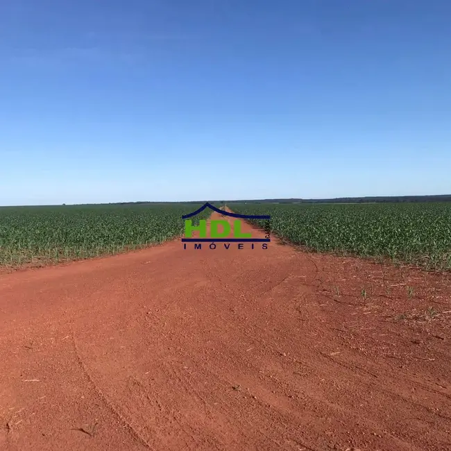 Foto 5 de Fazenda / Haras à venda, 3600m2 em Canarana - MT