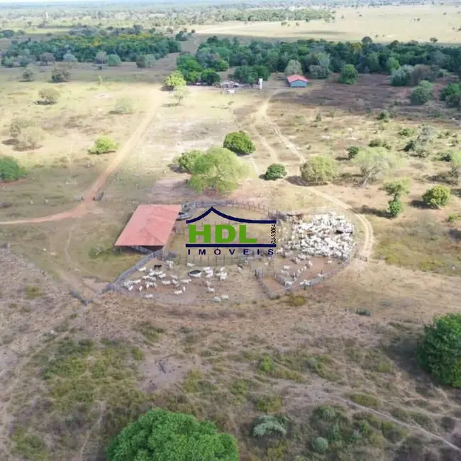 Foto 1 de Fazenda / Haras à venda, 4900m2 em Cocalinho - MT