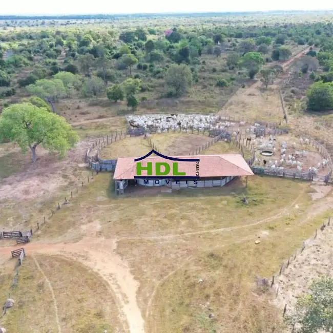 Foto 2 de Fazenda / Haras à venda, 4900m2 em Cocalinho - MT