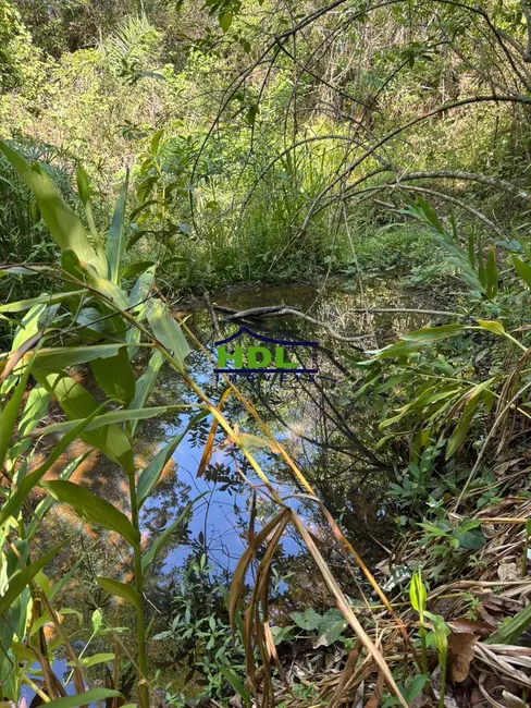 Foto 6 de Chácara à venda, 39200m2 em Professor Jamil - GO