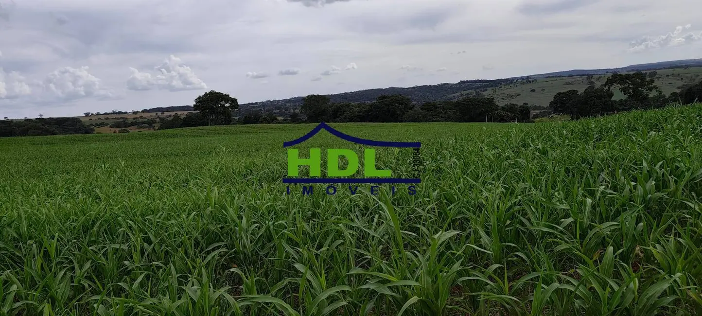 Foto 5 de Fazenda / Haras à venda, 100m2 em Cristianopolis - GO
