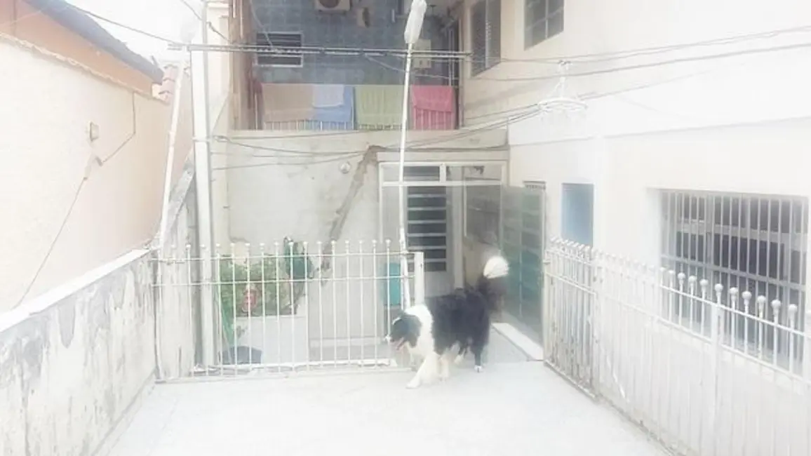 Sobrado com 4 quartos à venda, 300m2 em Parque Penha, São Paulo - SP - imagem 5 Foto 5 de Sobrado com 4 quartos à venda, 300m2 em Parque Penha, São Paulo - SP