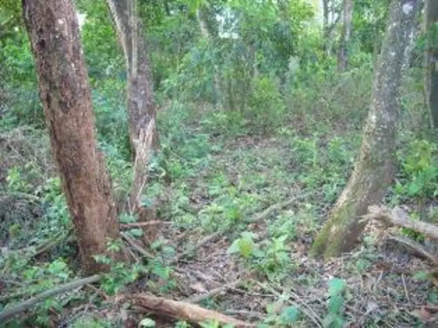 Terreno / Lote à venda, 1902m2 em Chácaras Reunidas Guaio, Suzano - SP - imagem 3 Foto 3 de Terreno / Lote à venda, 1902m2 em Chácaras Reunidas Guaio, Suzano - SP