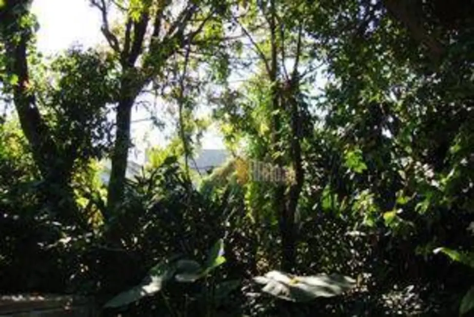 Terreno / Lote à venda, 660m2 em Jardim Penha, São Paulo - SP - imagem 5 Foto 5 de Terreno / Lote à venda, 660m2 em Jardim Penha, São Paulo - SP