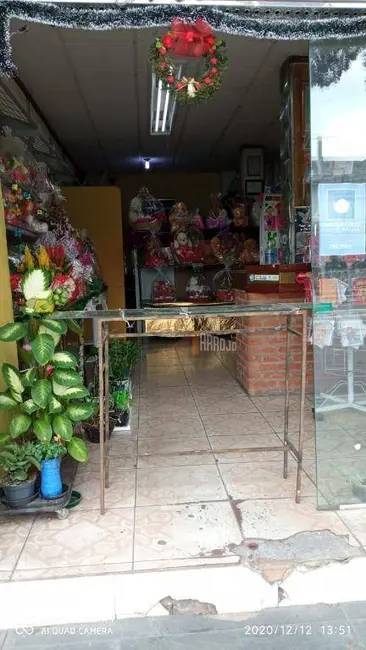 Foto 6 de Sala Comercial à venda, 220m2 em Vila Marieta, São Paulo - SP