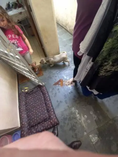 Foto 5 de Sobrado com 3 quartos à venda, 102m2 em Vila Laís, São Paulo - SP