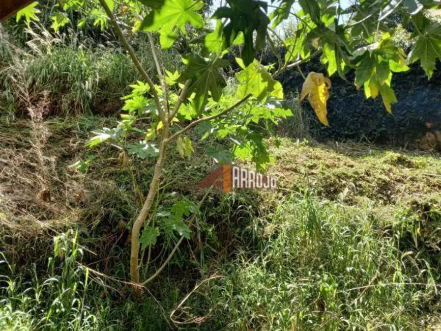 Foto 4 de Terreno / Lote à venda, 408m2 em Jardim Penha, São Paulo - SP