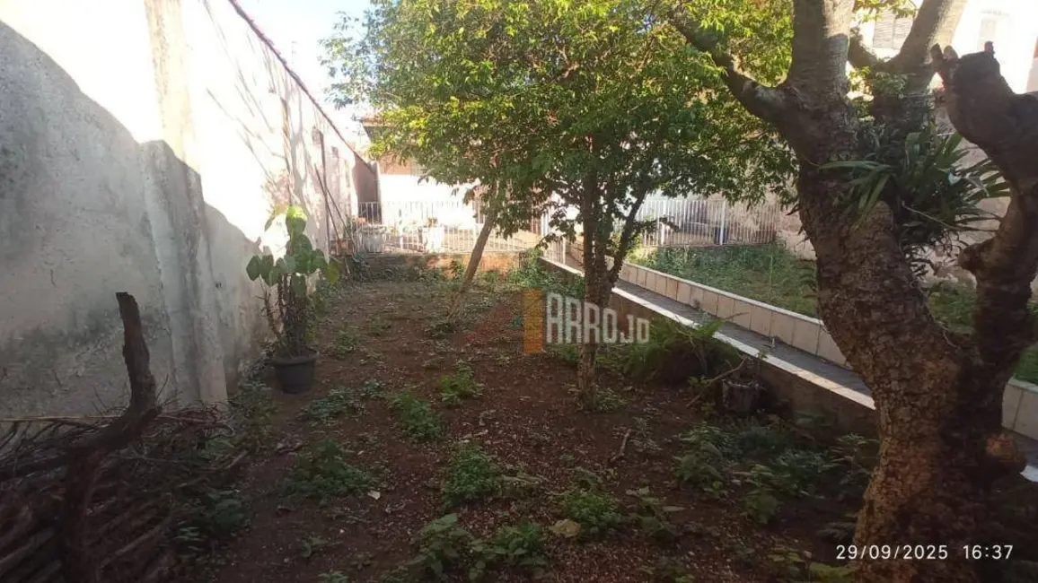 Casa com 2 quartos à venda, 400m2 em Vila Ré, São Paulo - SP - imagem 7 Foto 7 de Casa com 2 quartos à venda, 400m2 em Vila Ré, São Paulo - SP