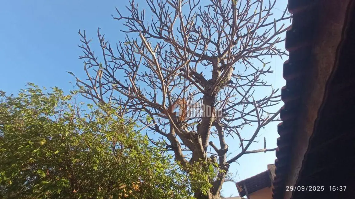 Casa com 2 quartos à venda, 400m2 em Vila Ré, São Paulo - SP - imagem 6 Foto 6 de Casa com 2 quartos à venda, 400m2 em Vila Ré, São Paulo - SP